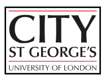 City St George's Logo